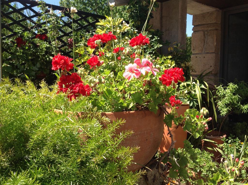 Holiday home Casa De Romao Amares